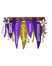 Canes Pennants