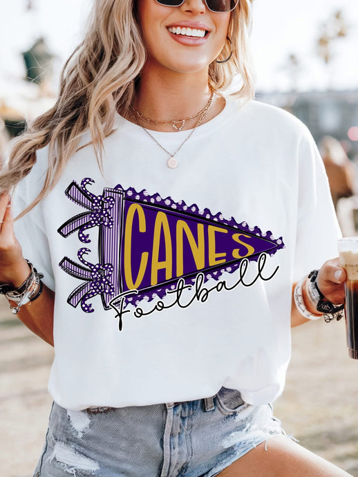 Canes football Pennant! Preorder