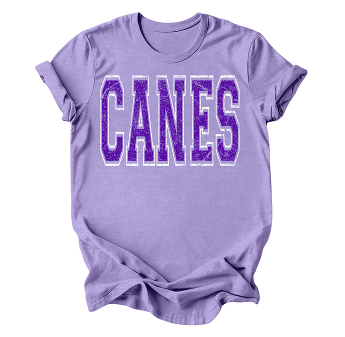 Distressed CANES purple