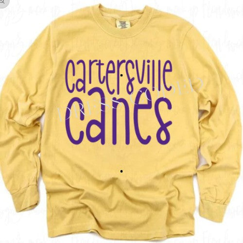 Cartersville Canes
