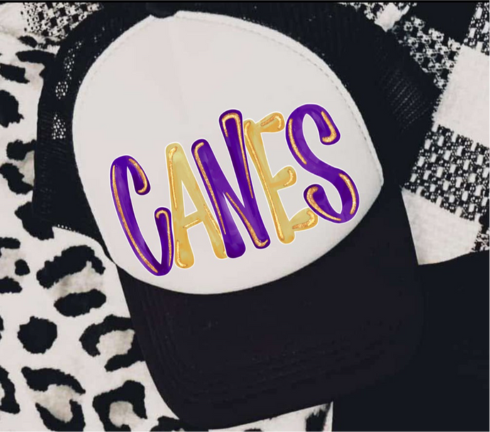 Canes Trucker Hat