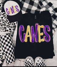Canes Trucker Hat