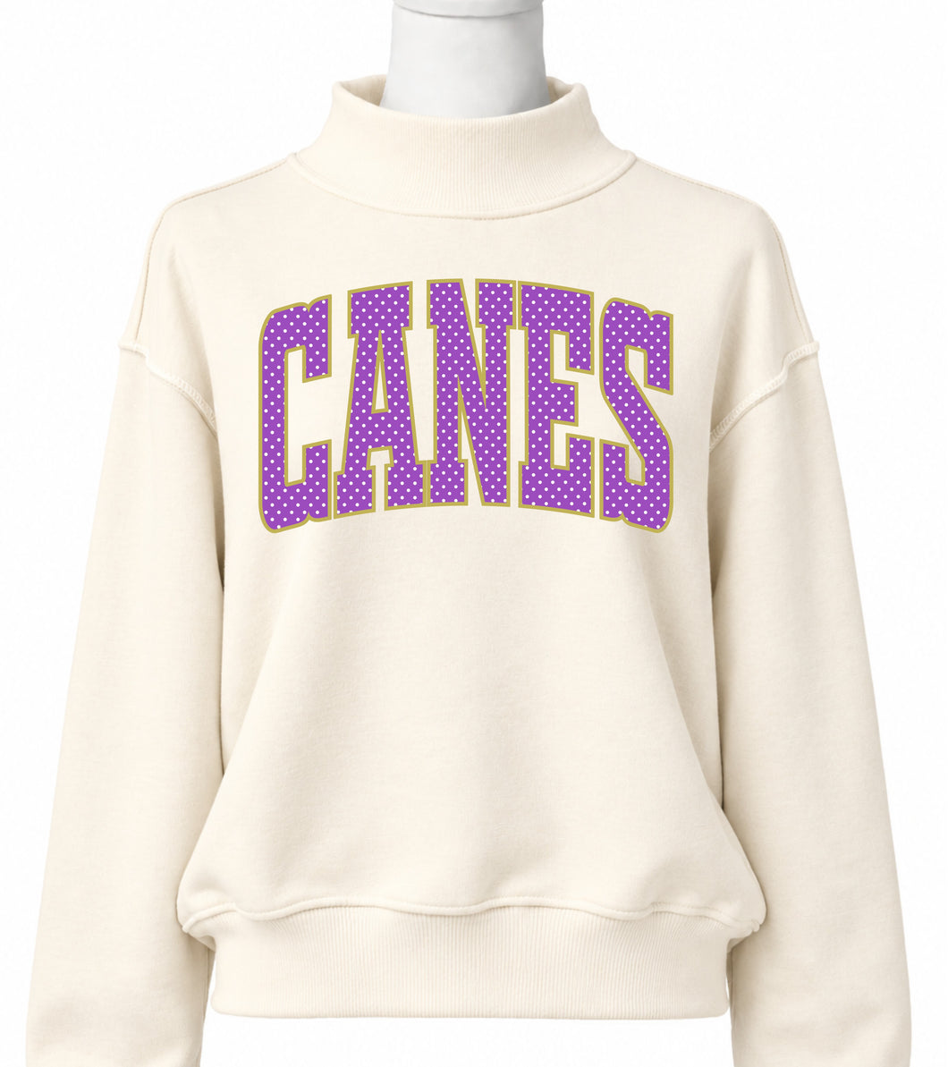 Canes Mockneck PREORDER