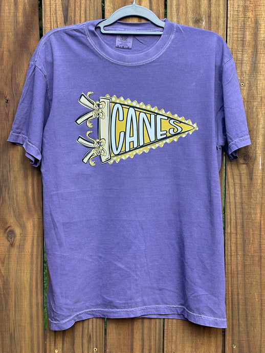 CANES Vegas Gold Pennant